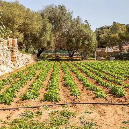 Sa Caseta De Baix Casa vacanze *